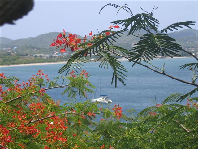 mouillage devant Pigeon Island depuis les hauteurs